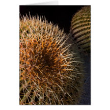Gyration (Blank Greeting Card)