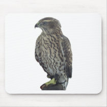 Gyrfalcon - Mousepad by GardenDelightsArts Gyrfalcon - Mousepad