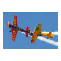 Gyroscopic Aerobatics posters