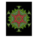 H1 Christmas Holly Berry Kaleidoscopic Mandala 1 Postcard