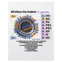 H1N1 Influenza Virus Deciphered (Health) flyers by wordsunwords H1N1 Influenza Virus Deciphered (Health) flyers