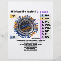 H1N1 Influenza Virus Deciphered (Health) Flyer Design