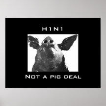 H1N1 - Not a Pig deal Poster