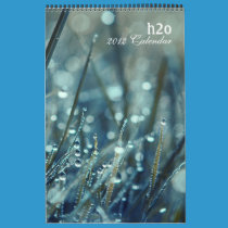 h2o 2012 Calendar calendars