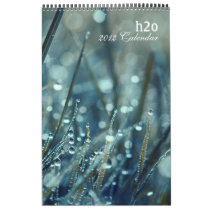 h2o 2012 Calendar