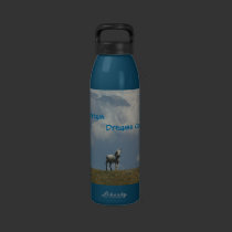 H2o Bottle -Dreams come True water bottles