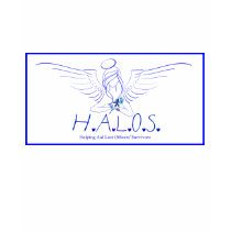 H.A.L.O.S. T SHIRTS
