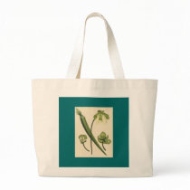 H Andrews - Sarracena flava Pitcher Plant bags