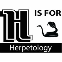 H Is For Herpetology photo sculptures by busybees H Is For Herpetology photo sculptures