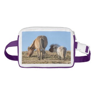Haakon and Tiddles Fannypack Nylon Fanny Pack