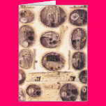 haalstat cards