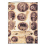 haalstat cards