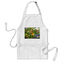 Habanero Peppers on Plant Photo twisted Aprons