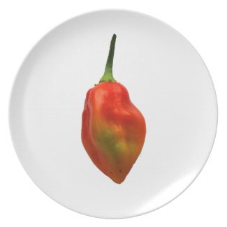 Habernero Single Pepper Photograph plate