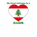 Habib t-shirts by ValentinesDayTshirts Habib t-shirts