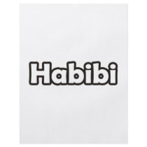 Habibi Flyer