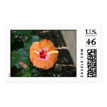habiscus postage by mark59956 habiscus postage