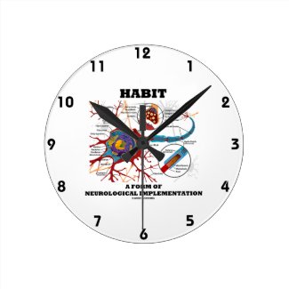Habit A Form Of Neurological Implementation Neuron Clocks