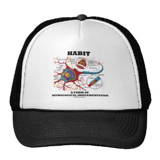 Habit A Form Of Neurological Implementation Neuron Hat