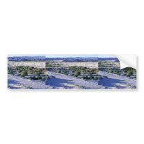 Habitat for Coachella Valley fringe-toed lizard Bumper Stickers