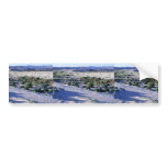 Habitat for Coachella Valley fringe-toed lizard bumper stickers