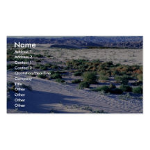 Habitat for Coachella Valley fringe-toed lizard Business Card Templates