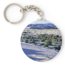 Habitat for Coachella Valley fringe-toed lizard Key Chain