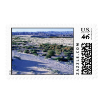 Habitat for Coachella Valley fringe-toed lizard Postage Stamps