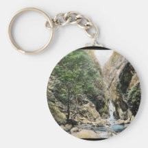Habitat of California condor Keychains