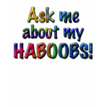 Haboobs Rainbow Burst Shirt