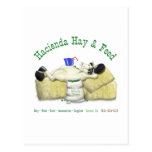Hacienda Hay & Feed Laid back Horse Post Cards