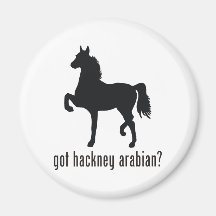Hackney Arabian Refrigerator Magnet