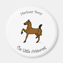 Hackney Pony Magnet