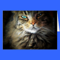 Had me at Meow cards