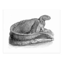 Hadrosaurus Sculpture Antique Print postcards