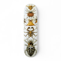 Haeckel_Arachnida Skate Board