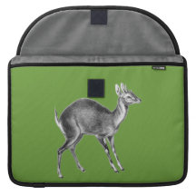 Haeckel Four Horned Deer MacBook Pro Sleeve