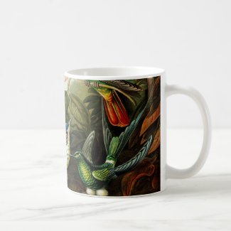 Haeckel Hummingbirds Classic White Coffee Mug