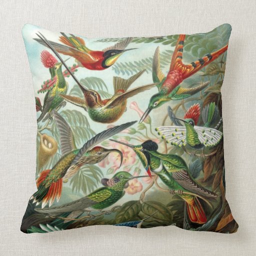 Haeckel Hummingbirds Pillows