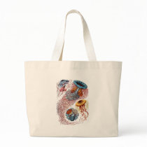 Haeckel Jellyfish Tote Bag