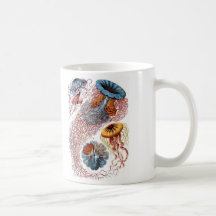 Haeckel Jellyfish Coffee Mugs
