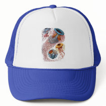 Haeckel Jellyfish hats