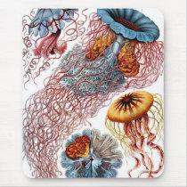 Haeckel Jellyfish Mouse Pads