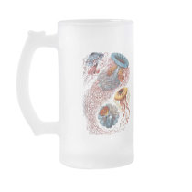 Haeckel Jellyfish mugs