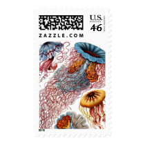 Haeckel Jellyfish Postage Stamp