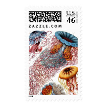 Haeckel Jellyfish Postage Stamp
