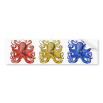 Haeckel Octopus Blue bumper stickers by tartanphoenix Haeckel Octopus Blue bumper stickers