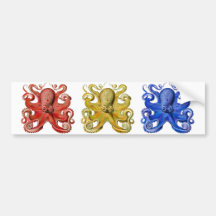 Haeckel Octopus Blue Bumper Stickers