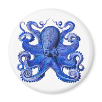 Haeckel Octopus Blue Refrigerator Magnets