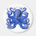 Haeckel Octopus Blue Refrigerator Magnets